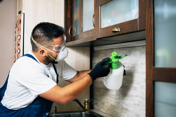 Best Pest Removal Services  in Cannon Af, NM