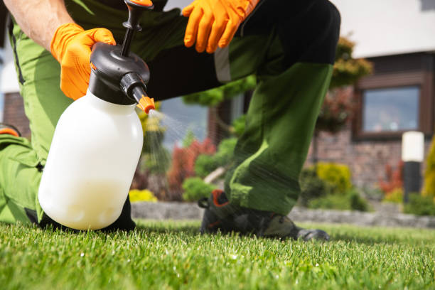 Best Affordable Pest Control Services  in Cannon Af, NM