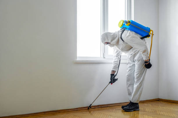 Best Commercial Pest Control Services  in Cannon Af, NM