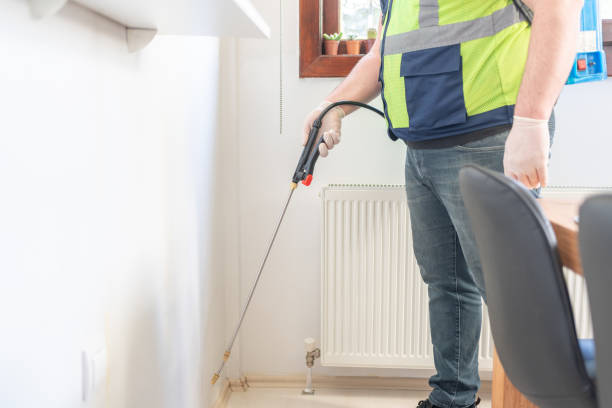 Best Best Pest Control Near Me  in Cannon Af, NM