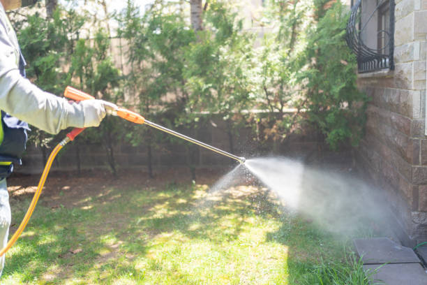Best Local Pest Control Services  in Cannon Af, NM