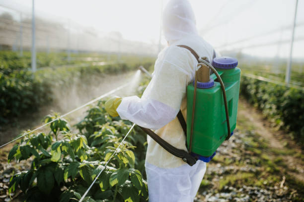 Best Pest Control Near Me in Cannon Af, NM